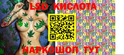 apvp Ярославль