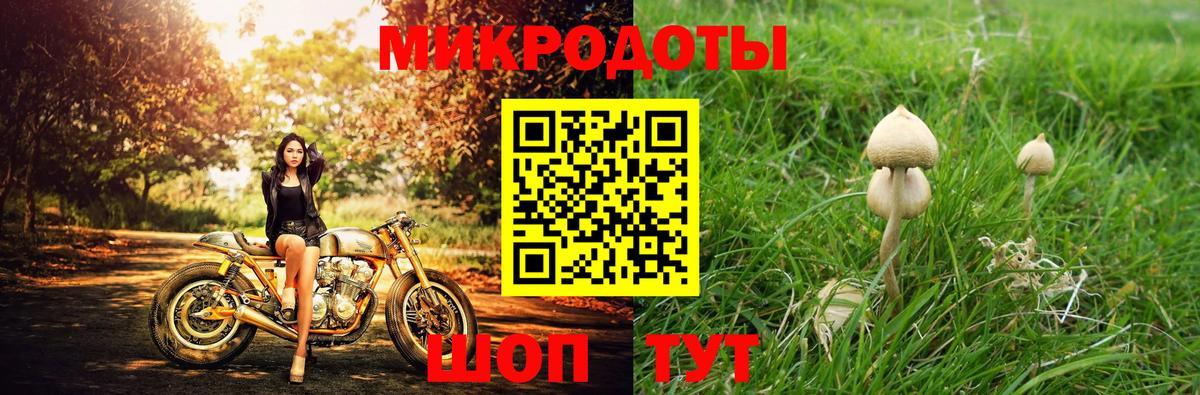 Псилоцибиновые грибы Magic Shrooms  Галлюциногенные грибы MAGIC MUSHROOMS  где продают   Вход с VPN  Кстово 